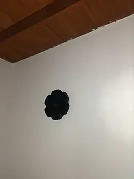 seth c online show from March 21, 6:11 pm