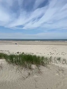 Snapshot of friemeldepiemel chatting on June 1, 12:18 pm friemeldepiemel online show from June 1, 12:18 pm