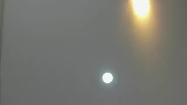 asher lux online show from March 9, 8:24 pm