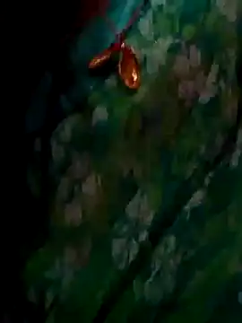 Snapshot of ramya_sri chatting on February 2, 9:30 am ramya sri online show from February 2, 9:30 am