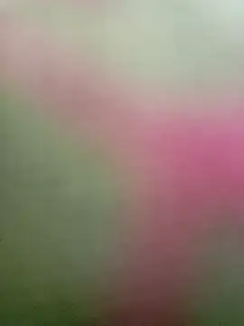 Dariralf online show from January 16, 12:42 pm