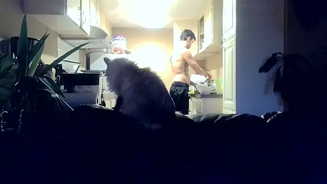 skateboardskate online show from January 16, 12:14 am