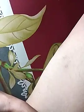 huuluat2 online show from January 17, 11:41 pm