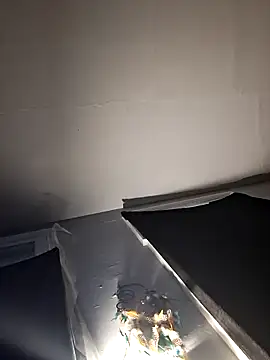 Snapshot of RealisedBooking chatting on February 26, 12:04 pm RealisedBooking online show from February 26, 12:04 pm