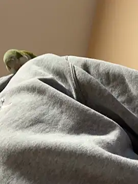 Snapshot of Andres56ojh chatting on February 14, 11:01 pm Andres56ojh online show from February 14, 11:01 pm