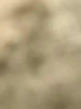 Pagelboy 089 online show from February 15, 9:30 am