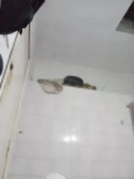 darkgodessone online show from April 4, 11:35 pm