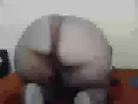 Snapshot of dalukuthula5832 chatting on April 3, 4:54 am dalukuthula5832 online show from April 3, 4:54 am