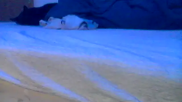 Silencio26 online show from April 19, 8:02 am