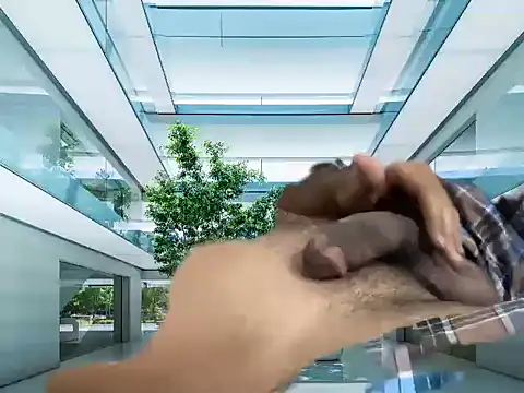 mdlaif1111 online show from April 8, 9:31 am