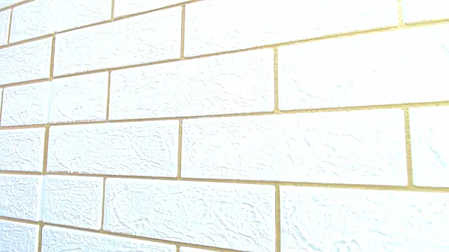 millybell303av online show from February 23, 3:20 pm