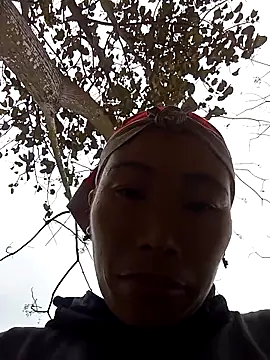 Nllpvp online show from February 8, 6:28 am