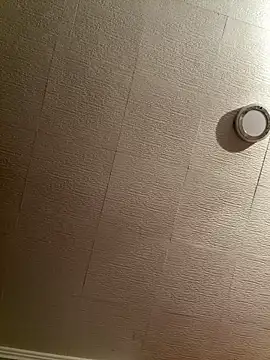 Evelin199 online show from February 8, 8:45 pm