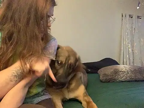 Intothewoodswego online show from February 22, 1:29 am