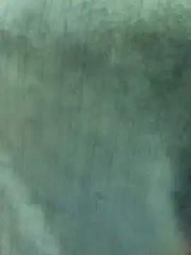 Nooran noona online show from January 7, 9:17 pm