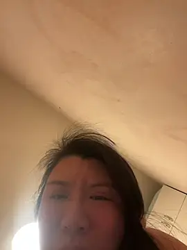 wy2026 online show from February 11, 4:56 pm