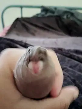 unknownuser96 online show from January 9, 8:06 am