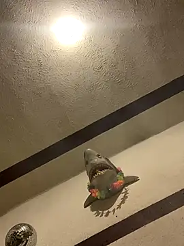 Snapshot of luis-pipo chatting on January 8, 10:39 am luis-pipo online show from January 8, 10:39 am