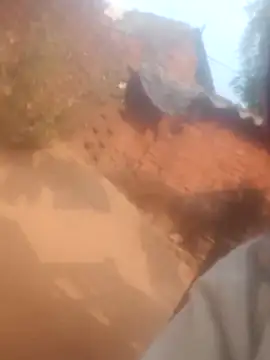 Kirti rajak online show from January 18, 10:19 am