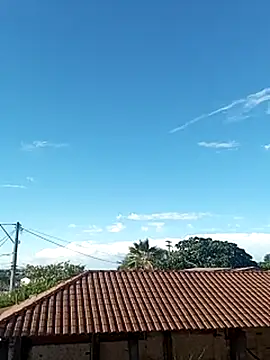 --------bucetuda------- online show from January 8, 8:00 pm