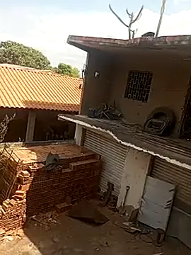 --------bucetuda------- online show from January 19, 12:53 pm