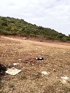 telugu026 online show from January 12, 4:29 am