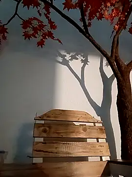 Dante Knox online show from March 26, 11:21 pm