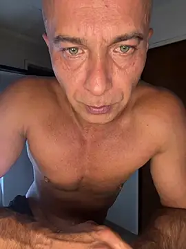 dogfrota online show from March 10, 4:06 am