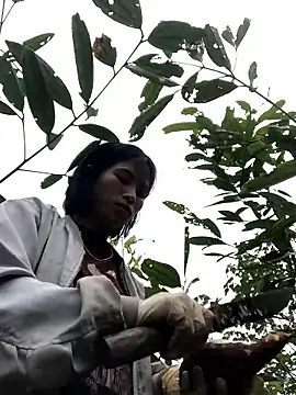 sun-shii online show from January 14, 1:55 am