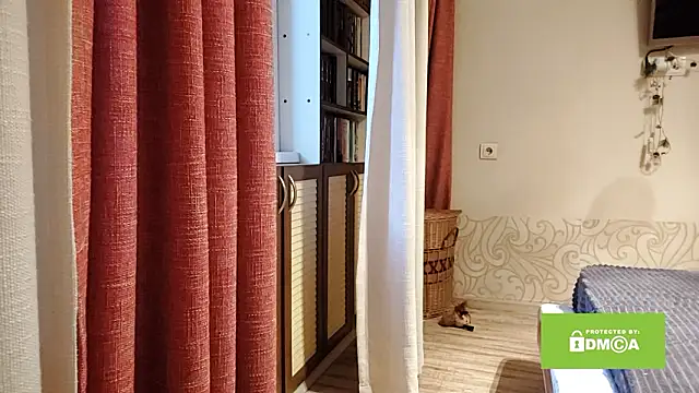 sewsewsewe online show from February 11, 10:04 pm