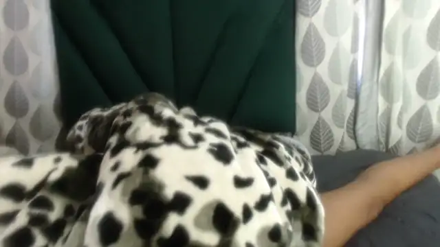 Snapshot of Nellybba chatting on March 27, 5:46 am Nellybba online show from March 27, 5:46 am