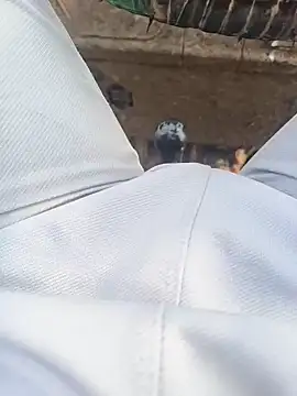 Hot BoyDick-Telugu online show from January 15, 7:57 am