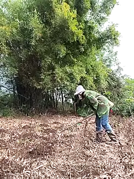 Jooj- online show from March 22, 9:02 am