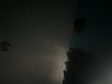 CcincoVilla online show from February 24, 1:20 pm