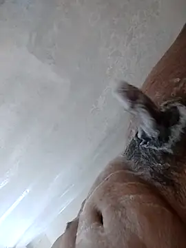 daringprince online show from January 17, 6:22 pm