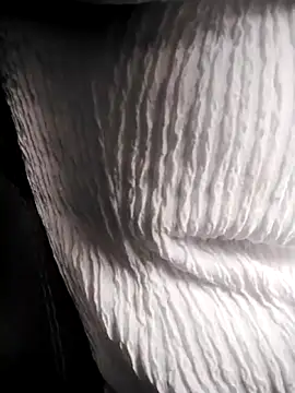 Snapshot of RosseLaure chatting on February 25, 7:56 pm RosseLaure online show from February 25, 7:56 pm