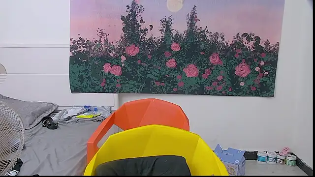 Snapshot of paofu-001 chatting on May 11, 4:04 pm paofu-001 online show from May 11, 4:04 pm
