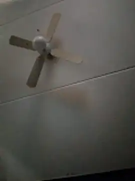 Snapshot of dewimp1 chatting on February 3, 8:52 am dewimp1 online show from February 3, 8:52 am