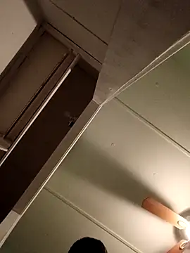 Snapshot of JoshingExegesis chatting on March 1, 4:14 am JoshingExegesis online show from March 1, 4:14 am