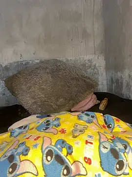 Snapshot of Iam_AlexandraRey chatting on February 15, 7:51 am Iam AlexandraRey online show from February 15, 7:51 am