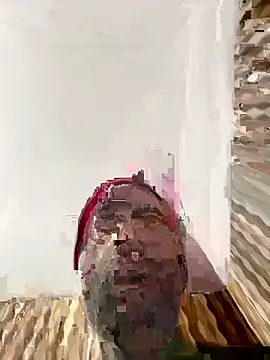 Snapshot of hardlysuck chatting on February 4, 2:39 am hardlysuck online show from February 4, 2:39 am