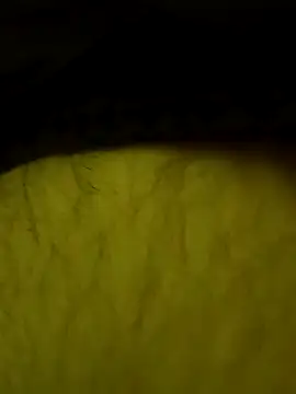 Snapshot of jajajaja322 chatting on February 2, 9:24 pm jajajaja322 online show from February 2, 9:24 pm