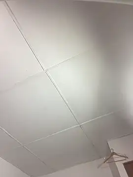 vanilla Kush online show from March 11, 8:09 am