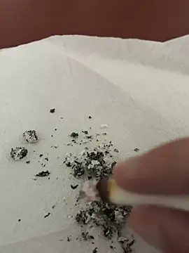 dickdondra online show from February 2, 11:42 am