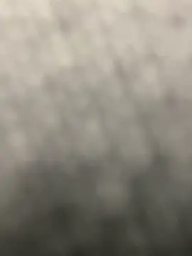 pizza pa online show from March 31, 1:55 pm