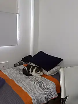 Snapshot of Nikolth_4 chatting on February 4, 3:18 pm Nikolth 4 online show from February 4, 3:18 pm