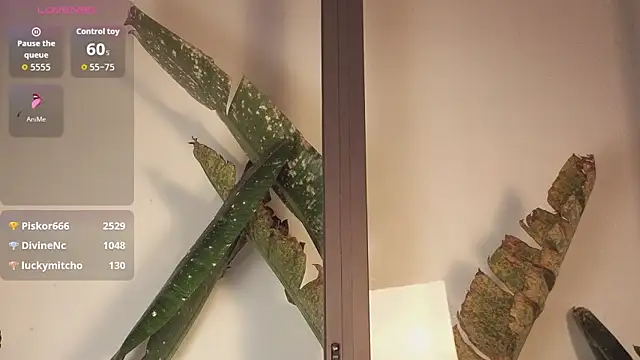 came-a-lot online show from February 22, 8:18 pm