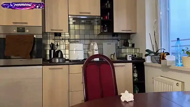 Snapshot of RenMeow chatting on February 17, 4:13 pm RenMeow online show from February 17, 4:13 pm