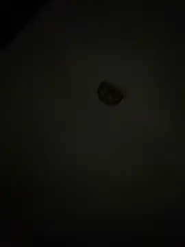 Snapshot of Diamanda12 chatting on March 1, 4:36 am Diamanda12 online show from March 1, 4:36 am