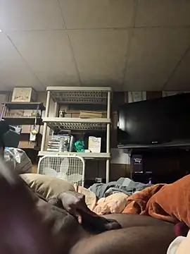 ProveYourLoyalty2 online show from March 19, 8:40 am